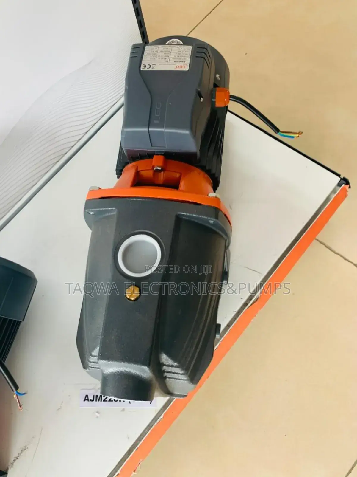 Cast Iron Leo 3hp Water Pump
