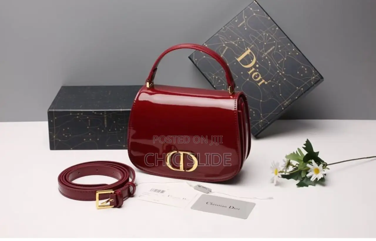 New Model Dior Handbag