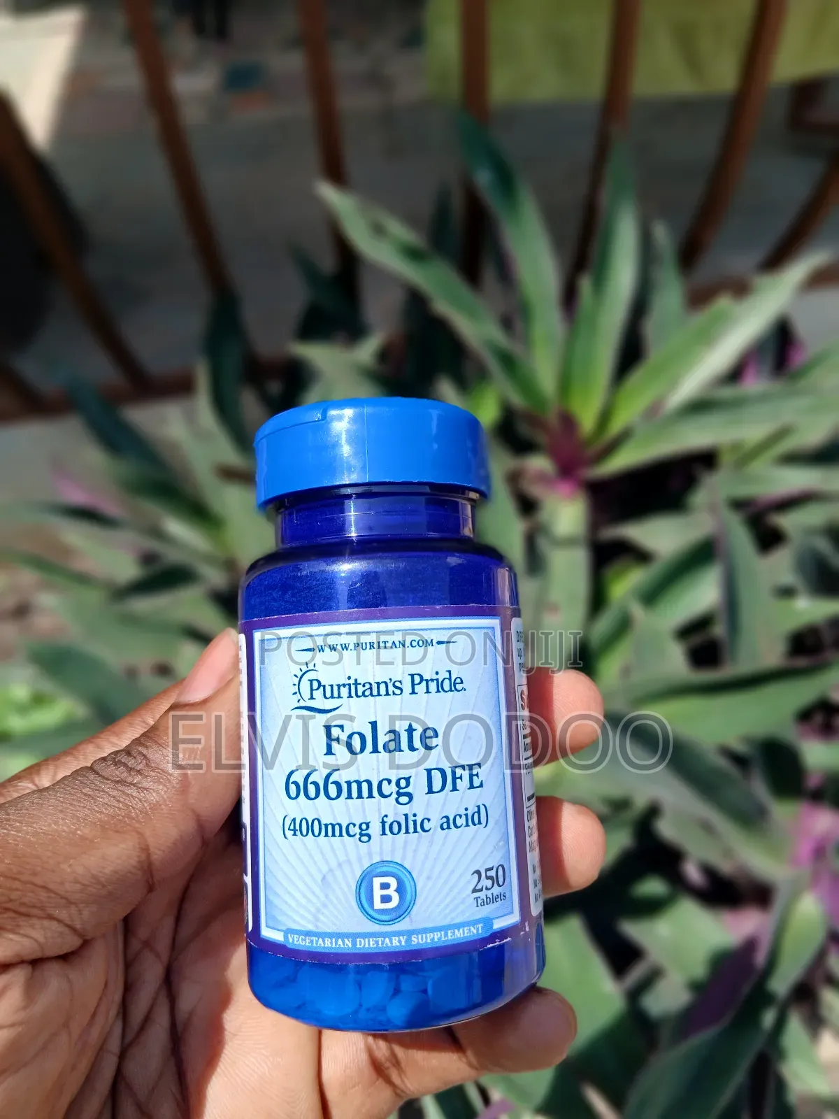 Folate 666mcg Dfe(400mcg Folic Acid)