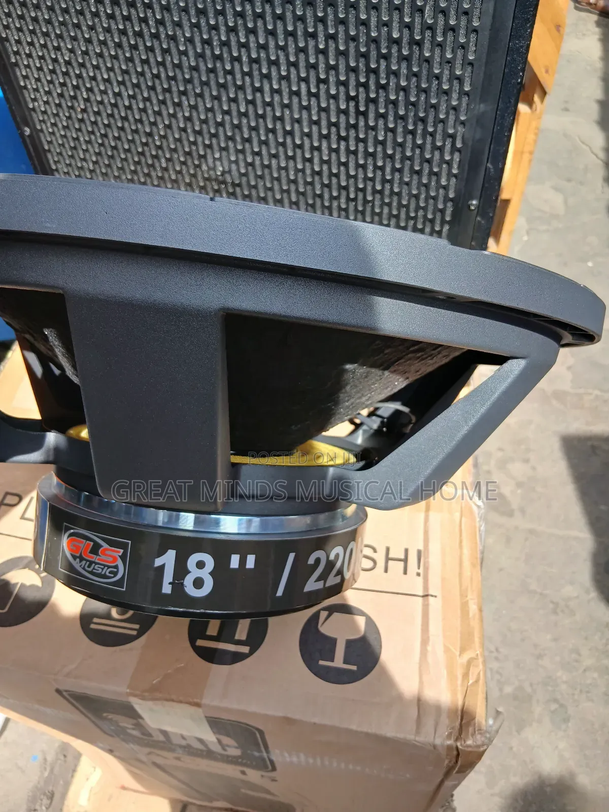 GLS Titanic 2000 Watts 18" Naked Speakers