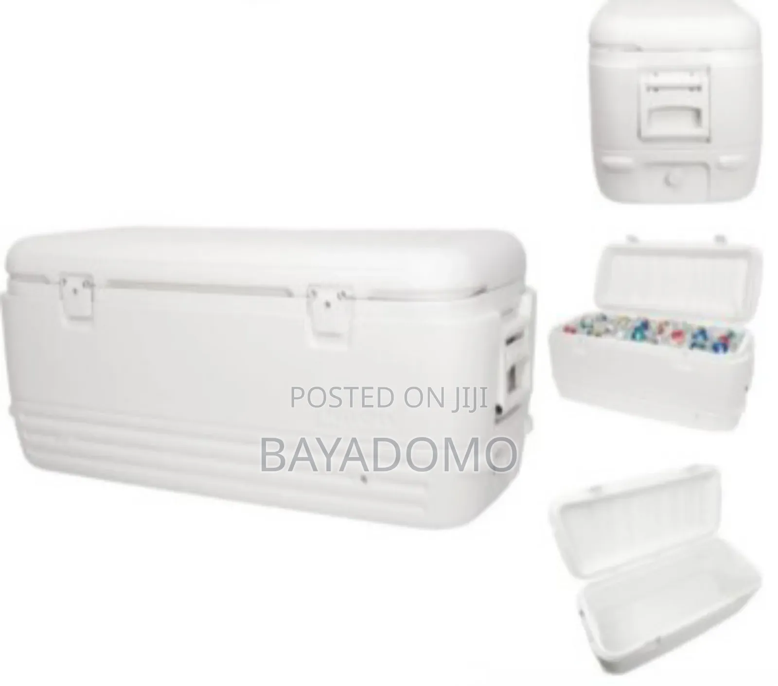 Whitey Ice Chest Igloo: Rent