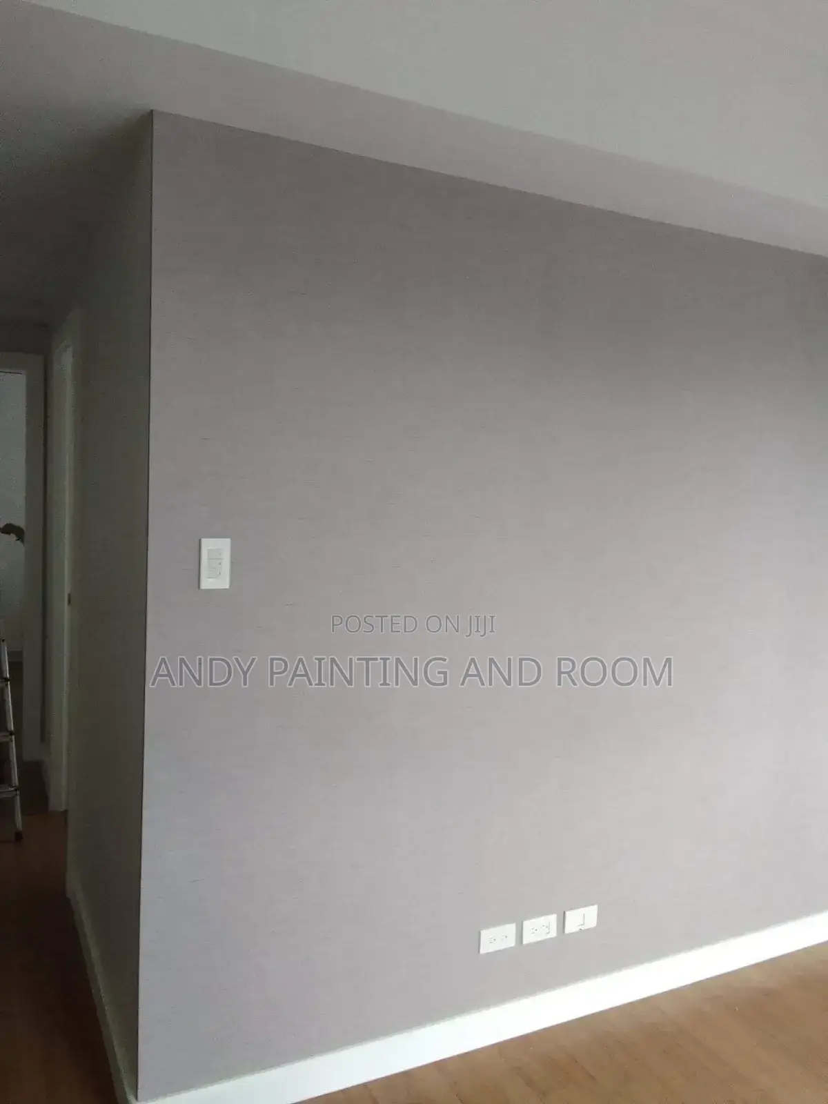 Professional 3d Wallpaper Installer and Painter