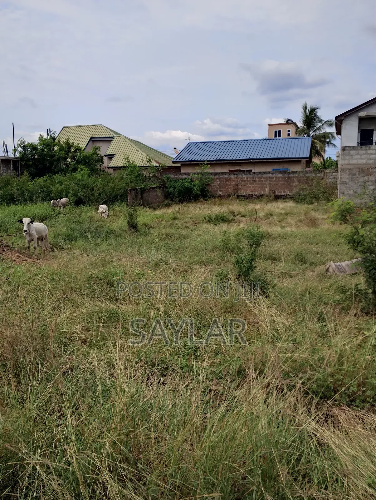 Nice Half Plot Klagon With TDC Documents by Regimaneul Estates Fence