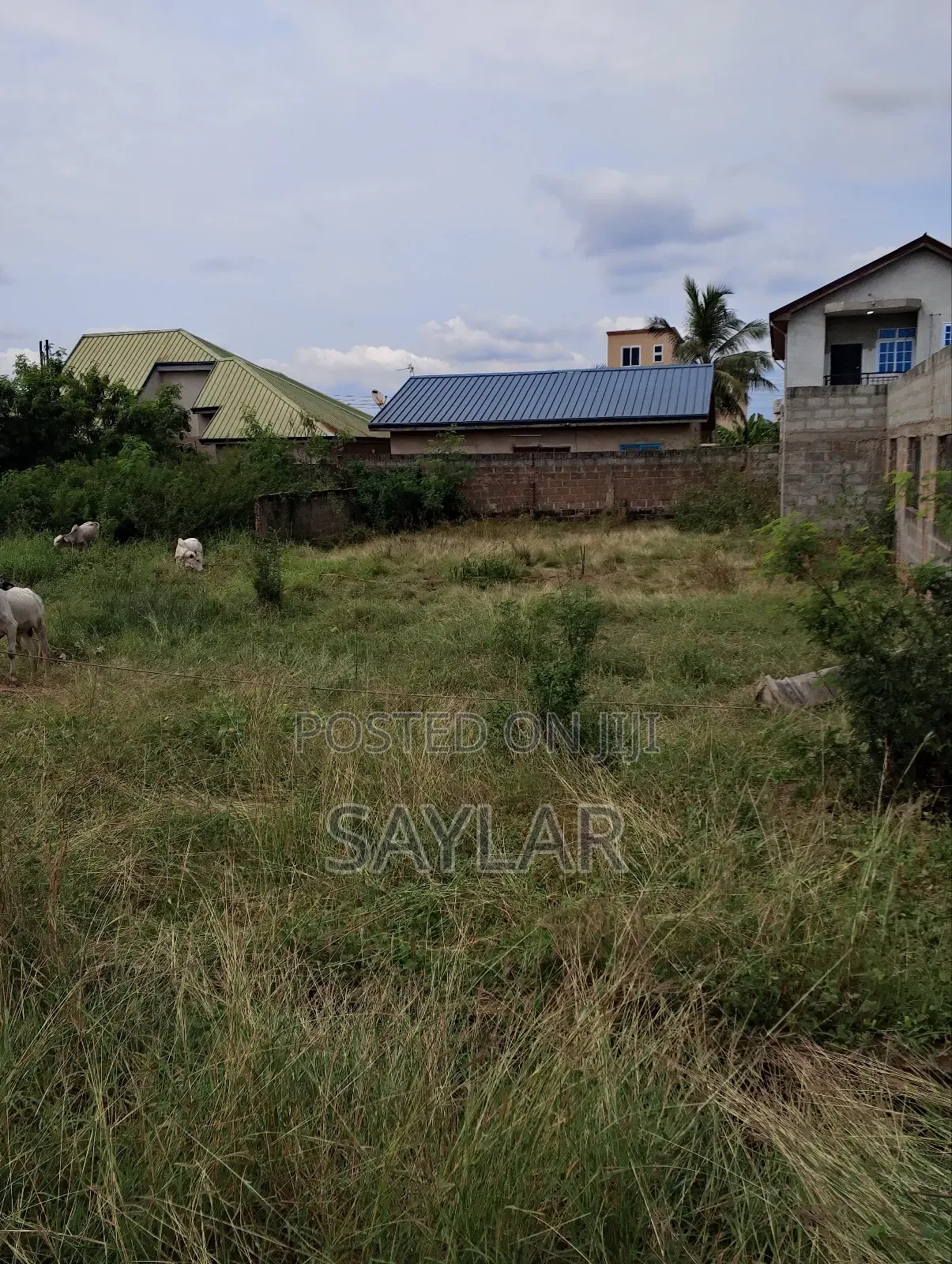 Nice Half Plot Klagon With TDC Documents by Regimaneul Estates Fence