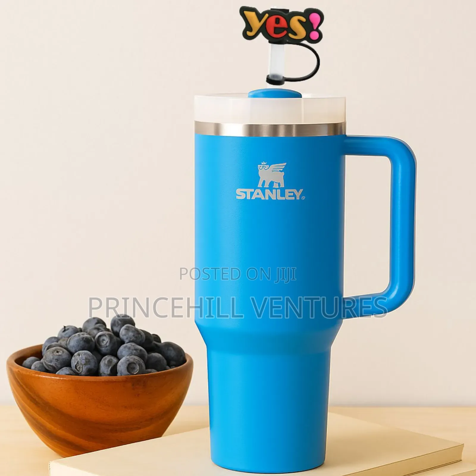 Stanley Cup Tumbler / Insulated Mugs