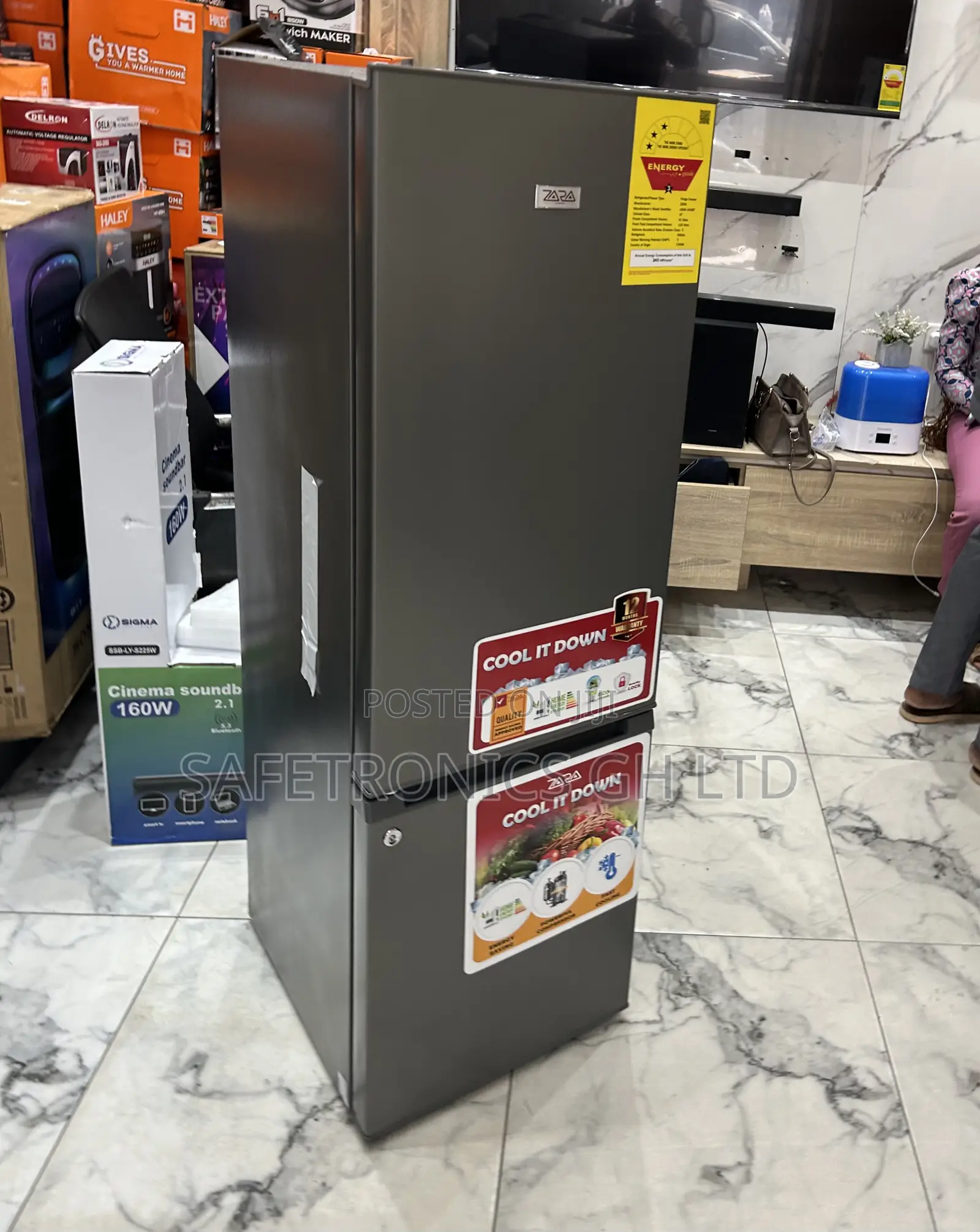 Accurate New 2 Doors Bottom Mount Zara-240bf 161l Fridge