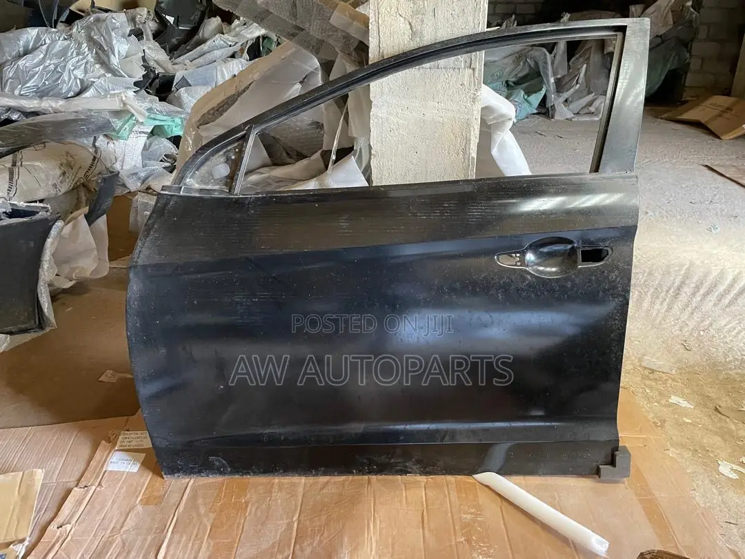 Hyundai Elantra 2017-2019 Door Front Left