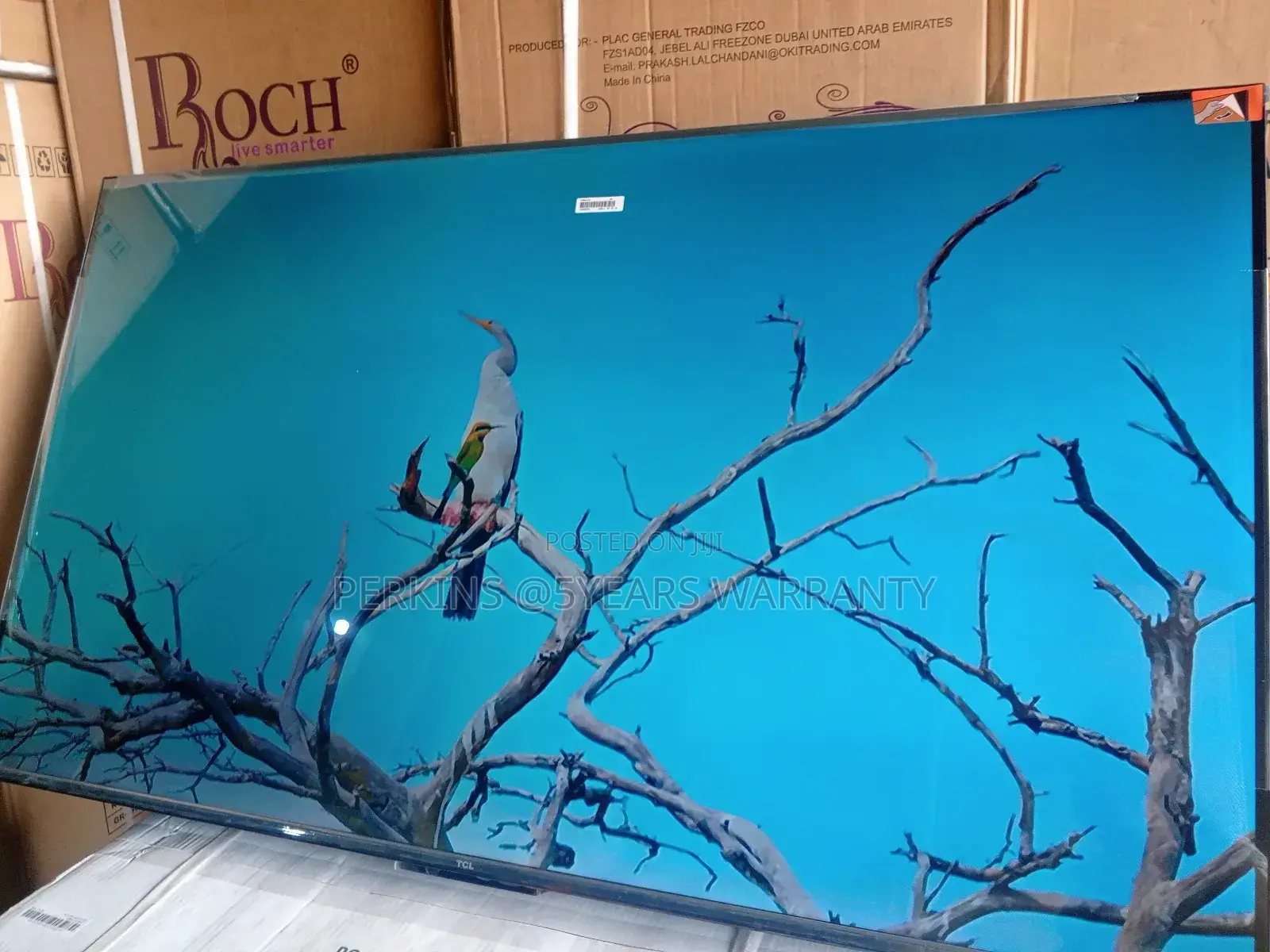 TCL 55-Inch Smart Television – Pure Visual Perfection TCL