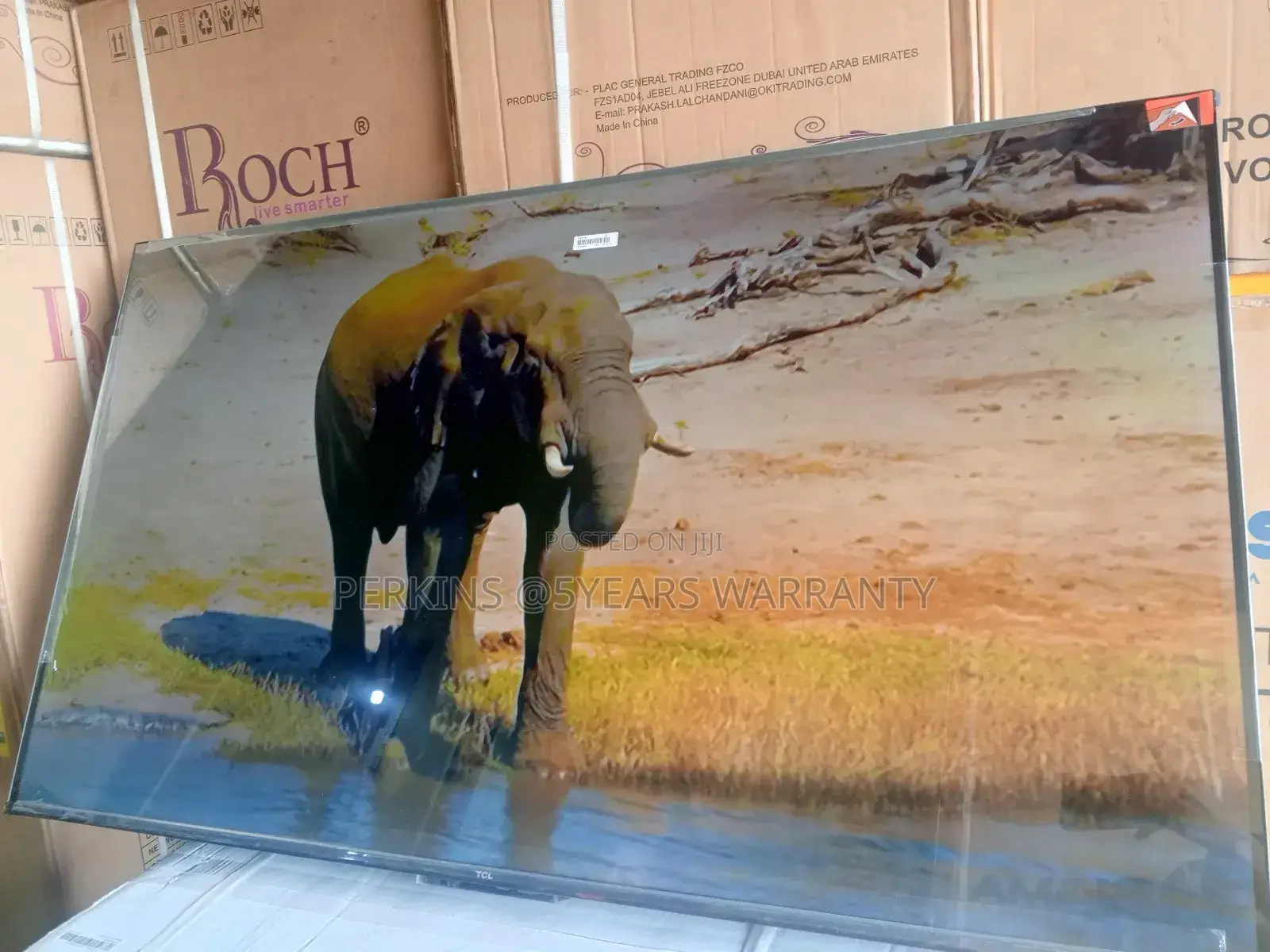 The Future of TCL Viewing: TCL 55-Inch Smart Tv