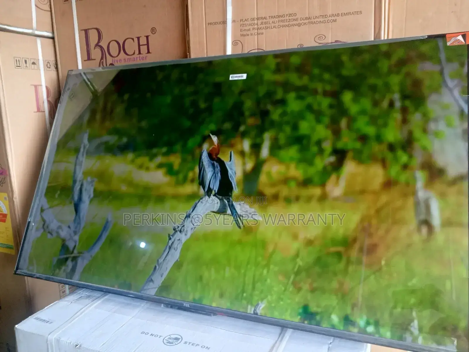 The Future of TCL Viewing: TCL 55-Inch Smart Tv