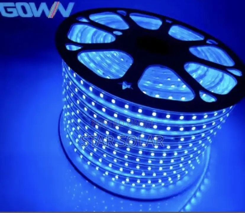 100m Led Strip Light( White Blue)