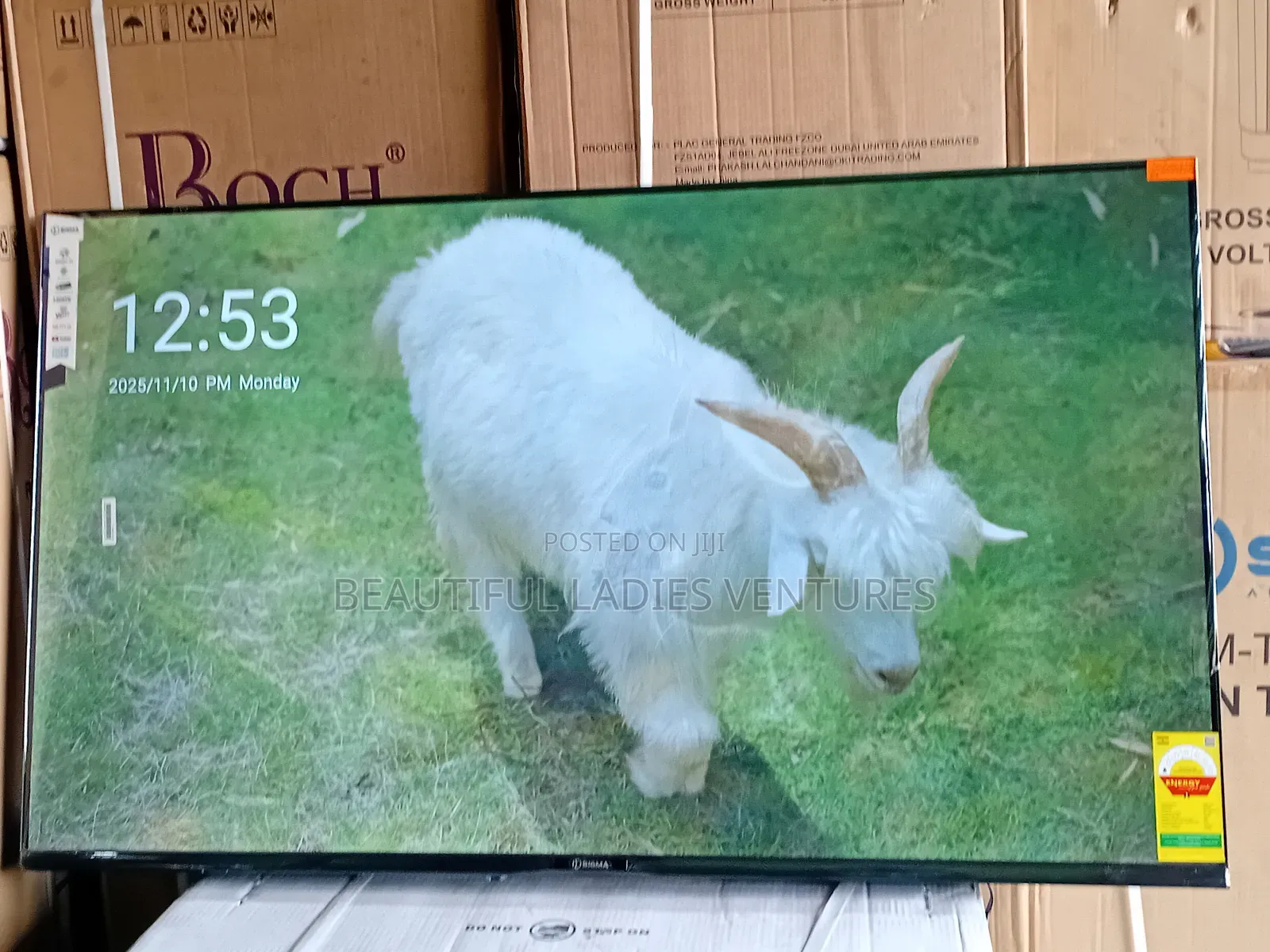 Breathtaking 55-Inch Smart Tv With Slim Frame and Powerful Tv