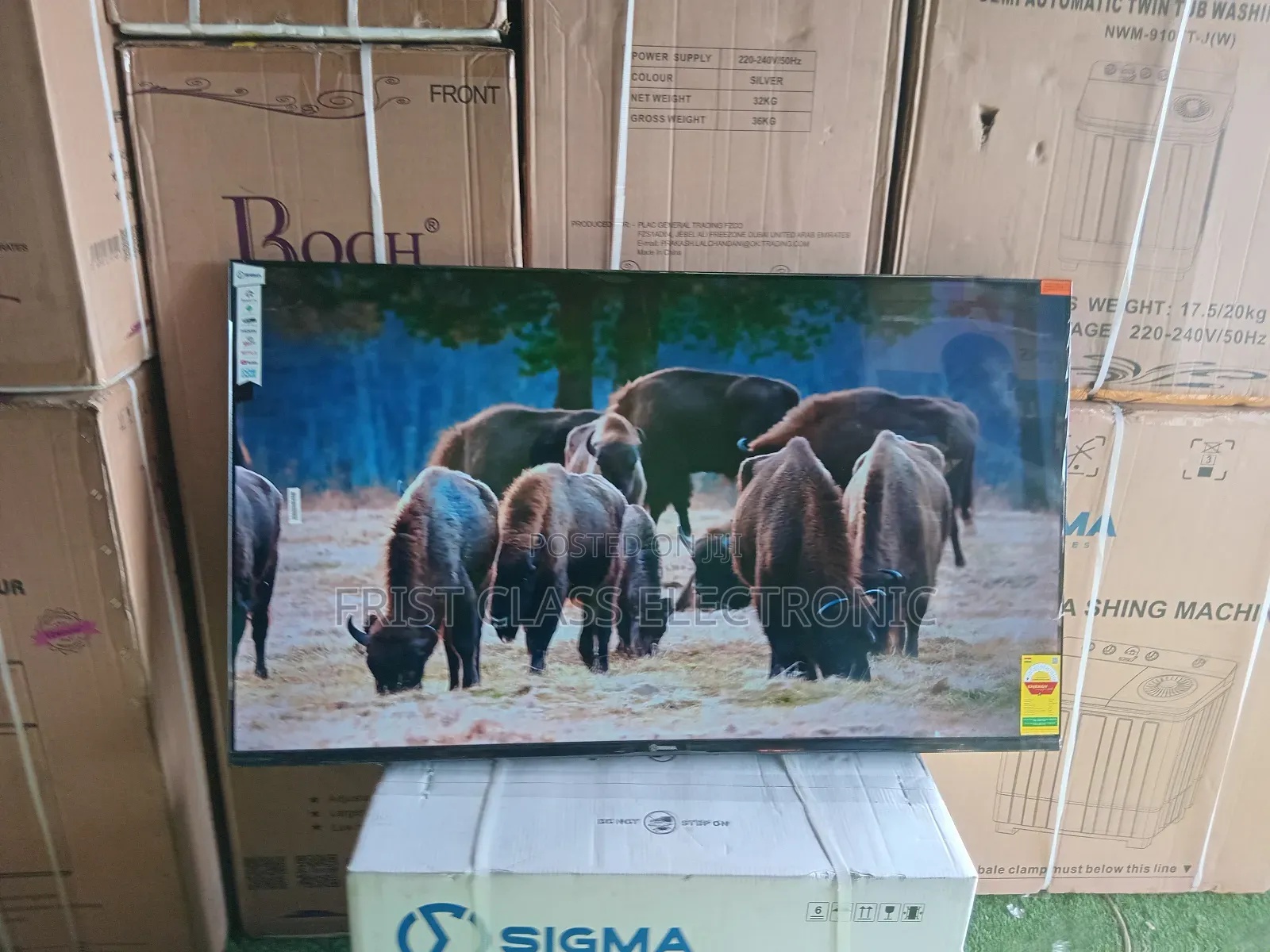 Sigma 55 Inch Smart – Next Generation Smart Viewing