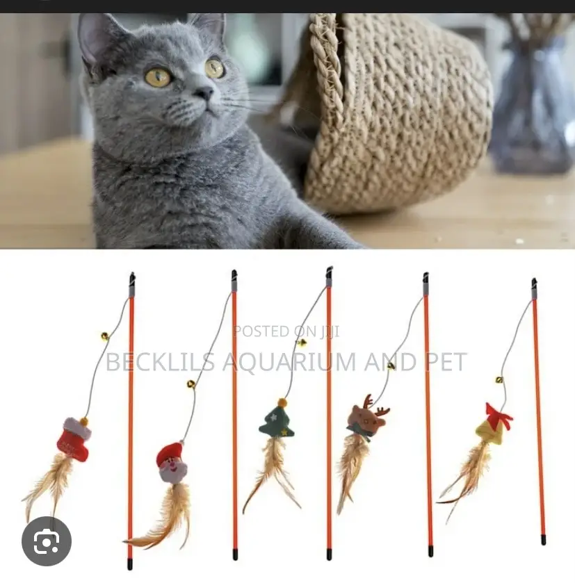 Feature Teaser Play Toy For Cat