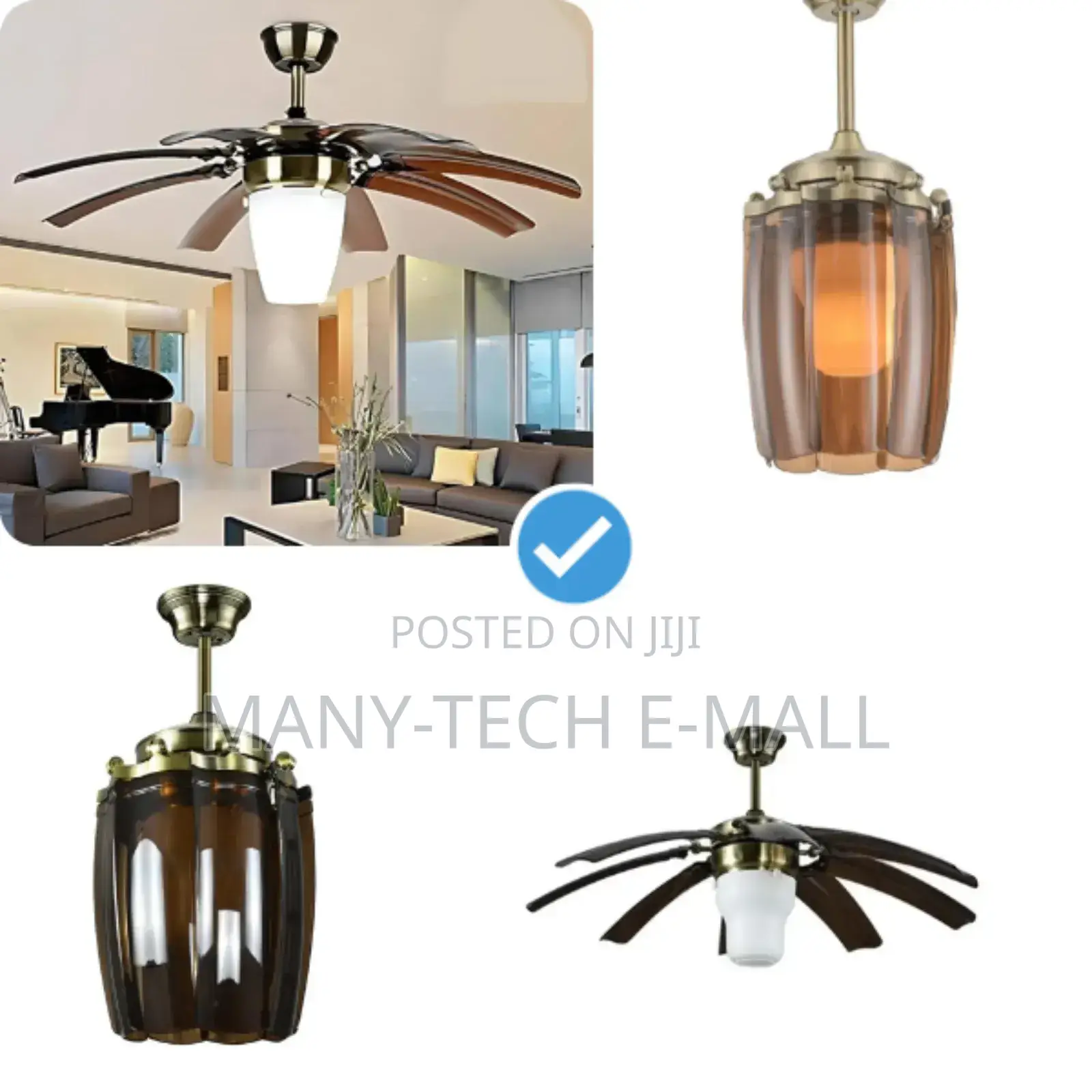 Fan With Light (Open Wing)