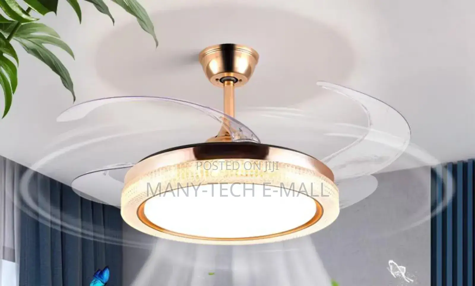 Fan With Light (Original)