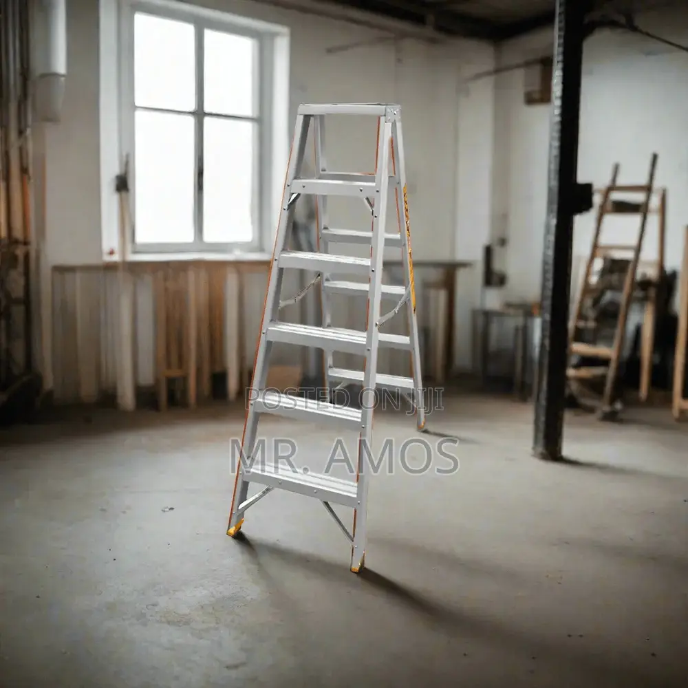 2x6steps Double Sided Ladder - Hlad01061