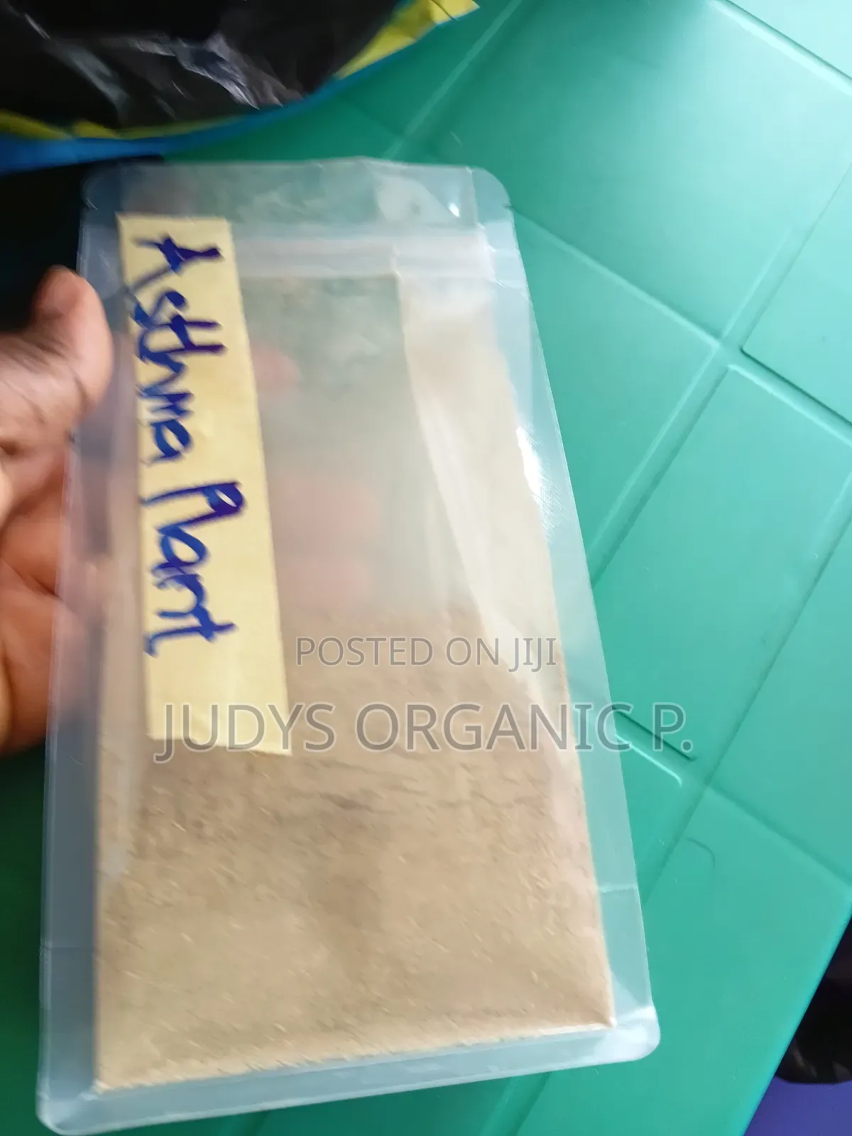 Asthma Plant (Tawa Tawa) Powder