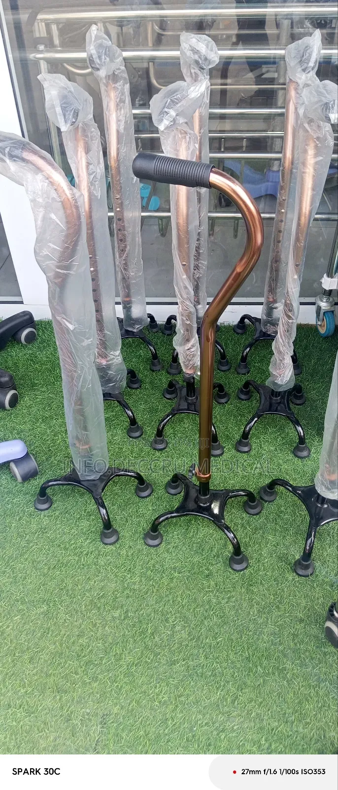 Quan Can or Four Legs Walking Stick