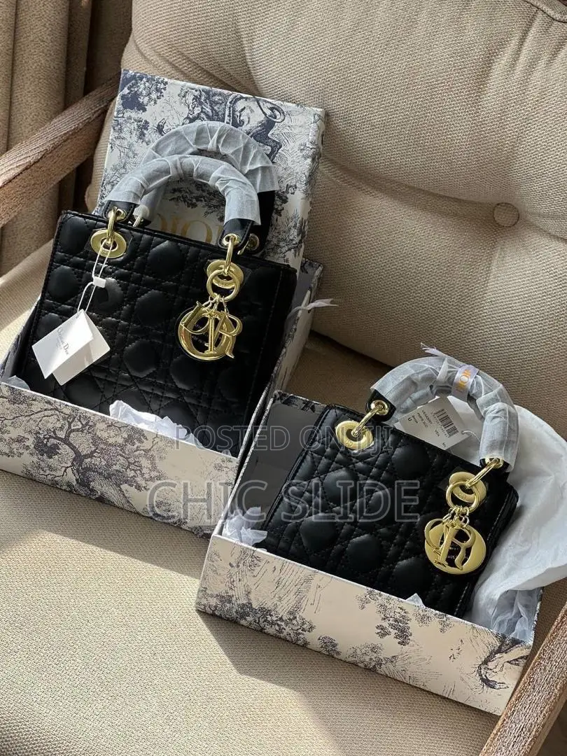 Latest Dior Hamdbag