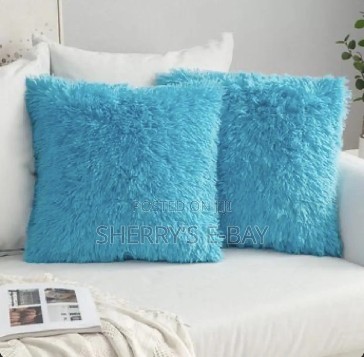 Fluffy Throw Pillows