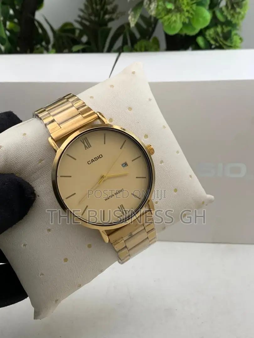 Casio Watch