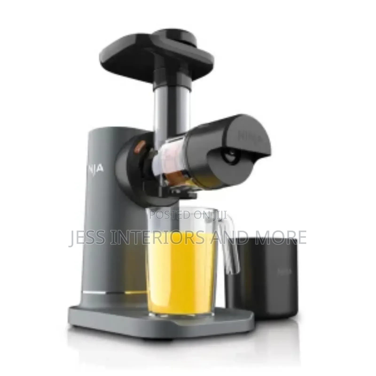 Ninja Powerful Electric Slow Juicer