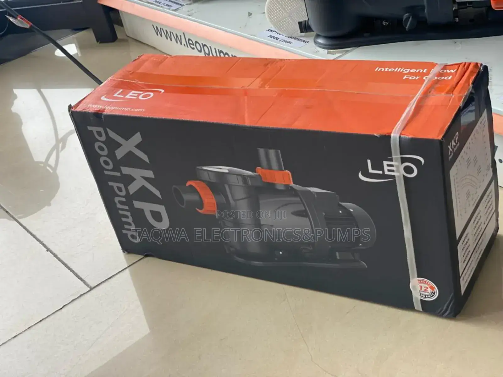 Cutex Leo Pool Pump 1.5hp