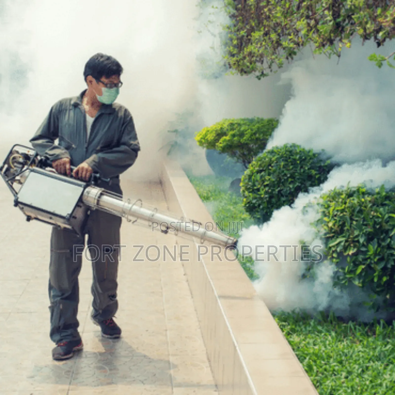 Odogwu Pest Terminators With Cleantex