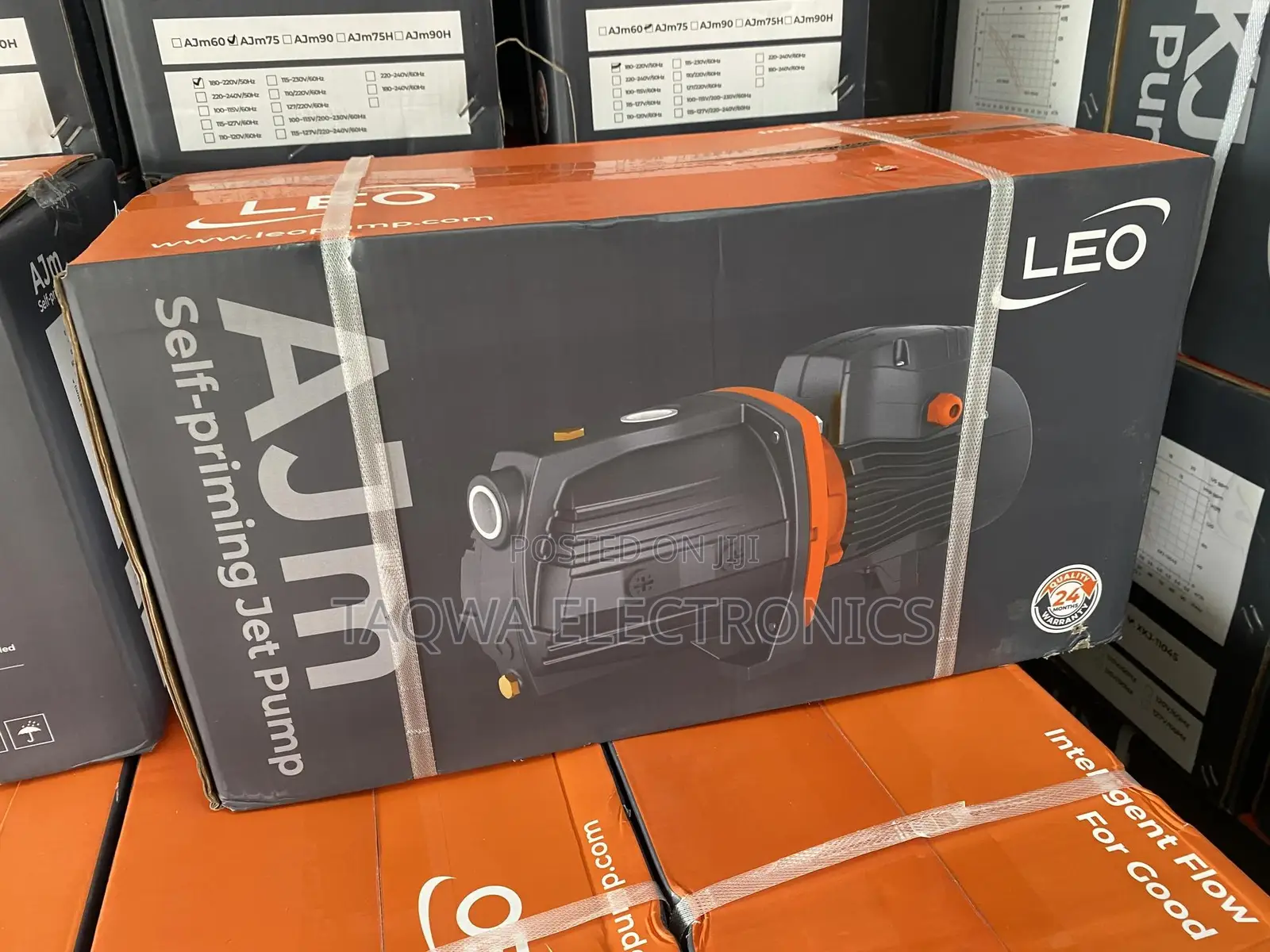 Smooth Leo 2hp Cast Pump