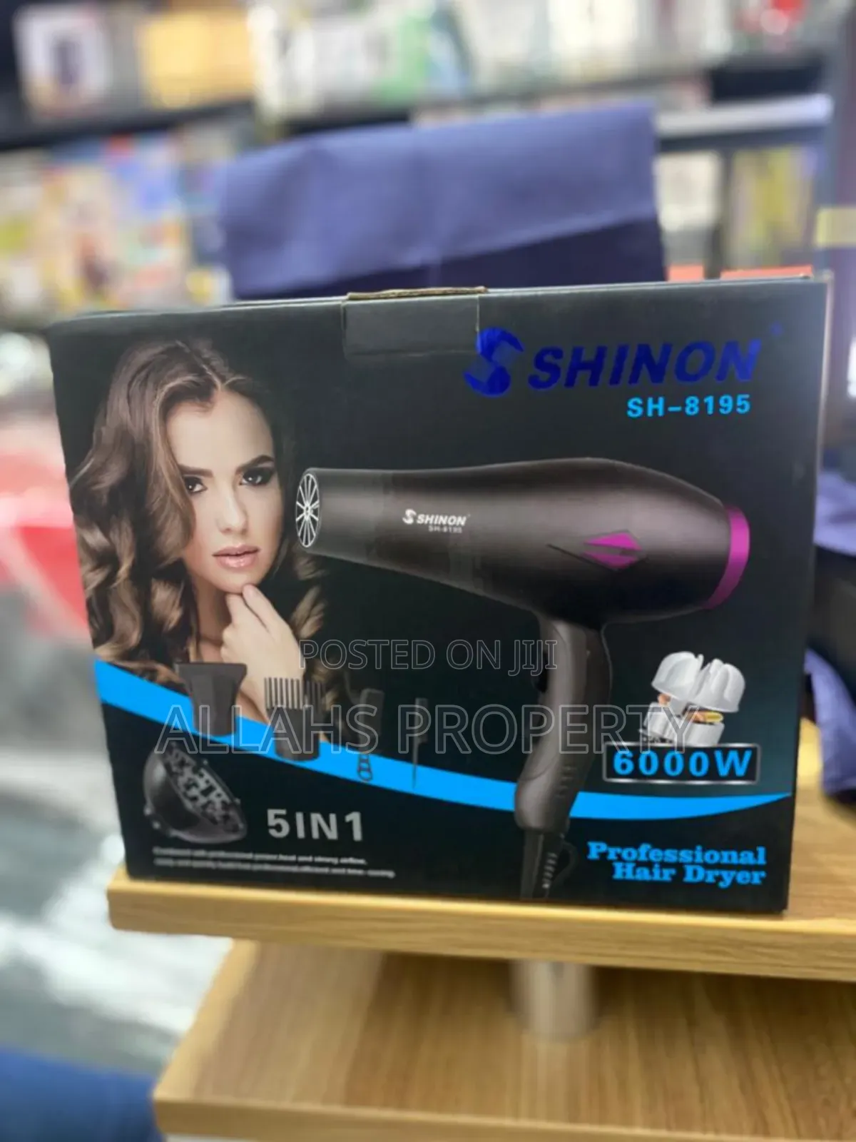 Professional Hair Dryer
