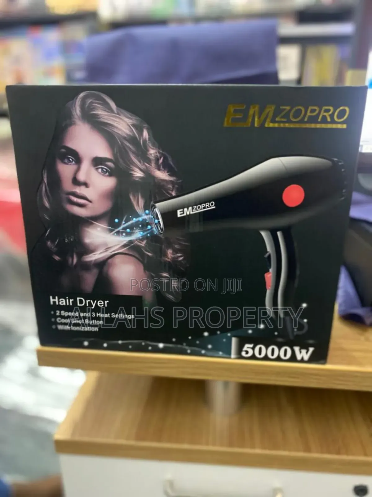 Professional Hair Dryer
