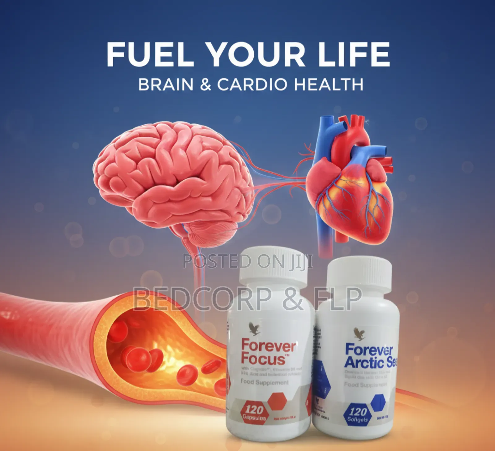 Brain And Cardio Health Pack Fl