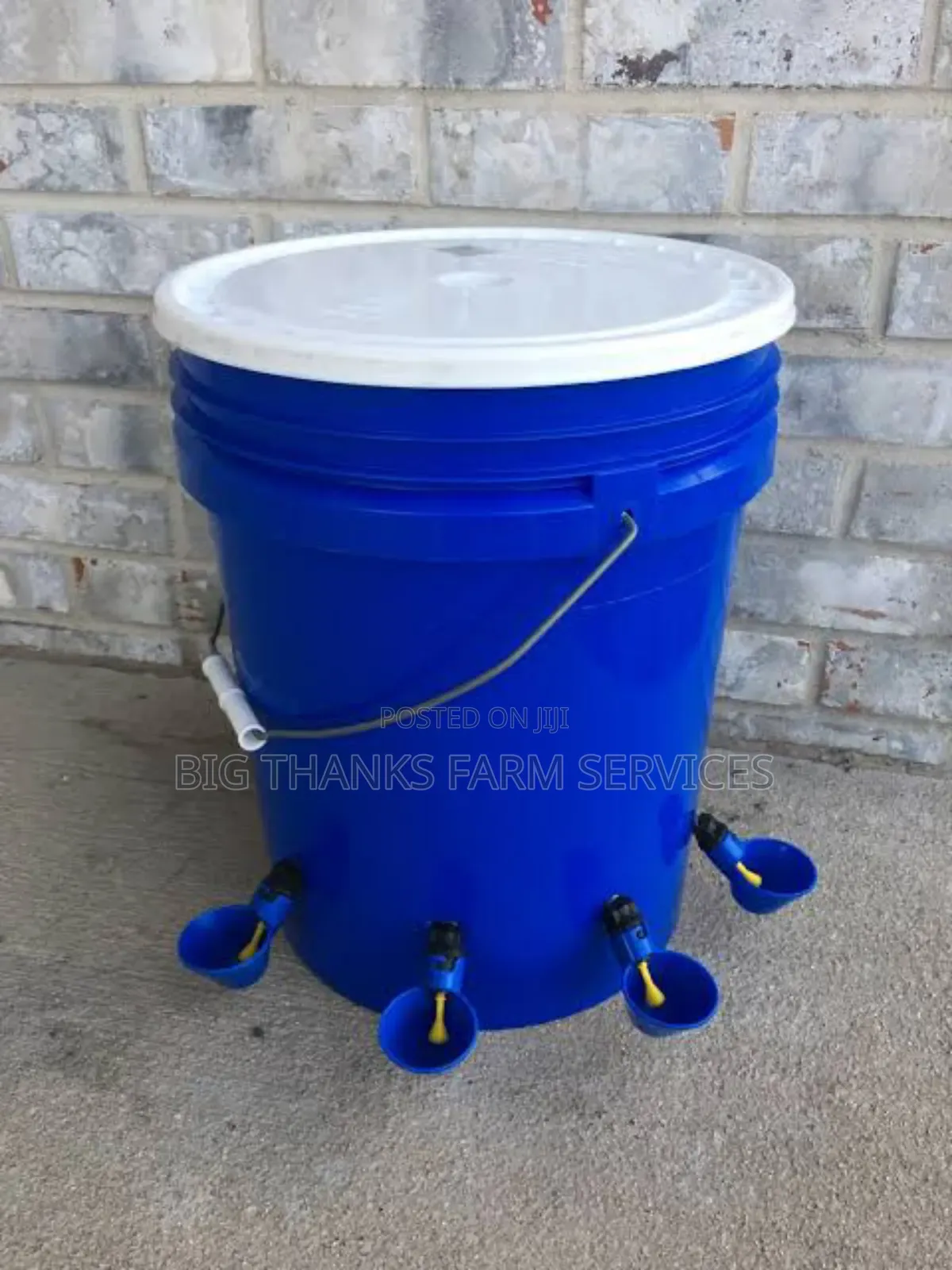 Automatic Poultry Drinker