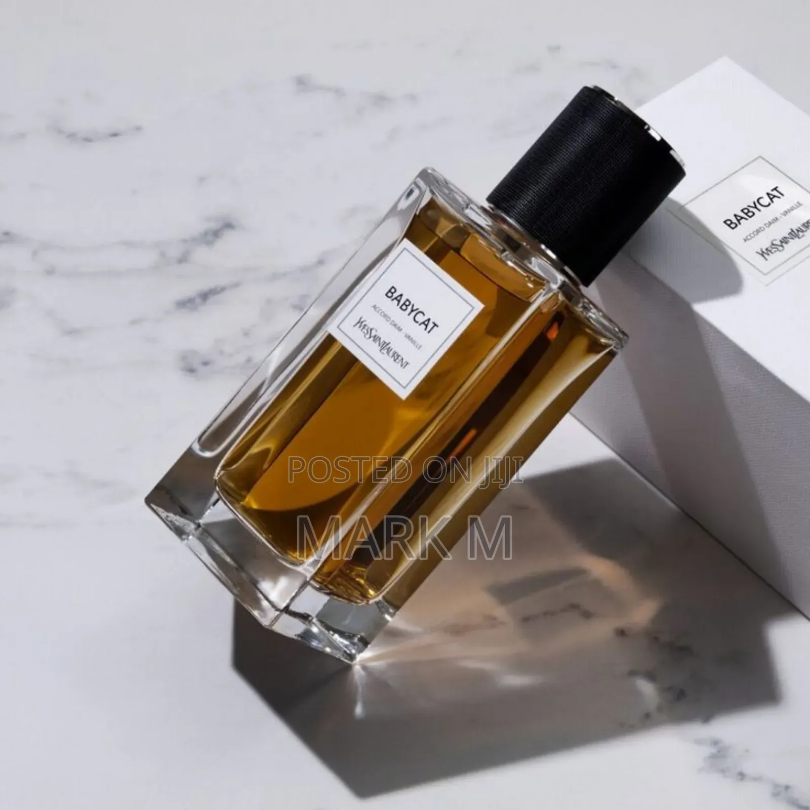 Ysl Babycat