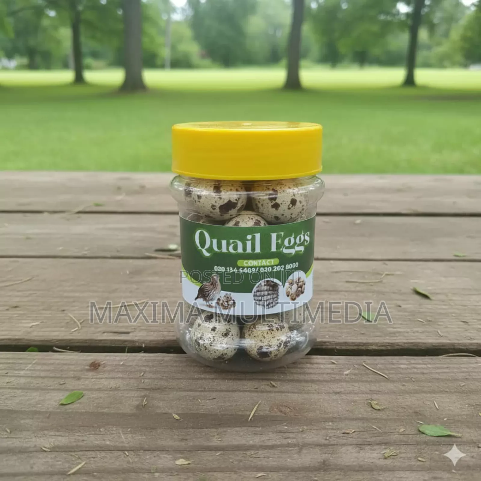 Quail Eggs