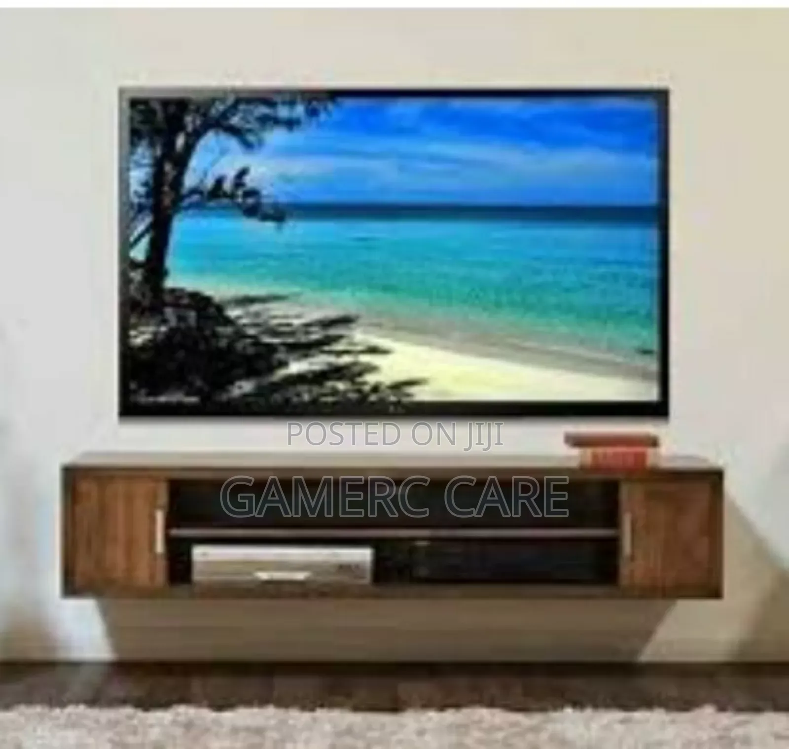 Television and Satellite Installation Services