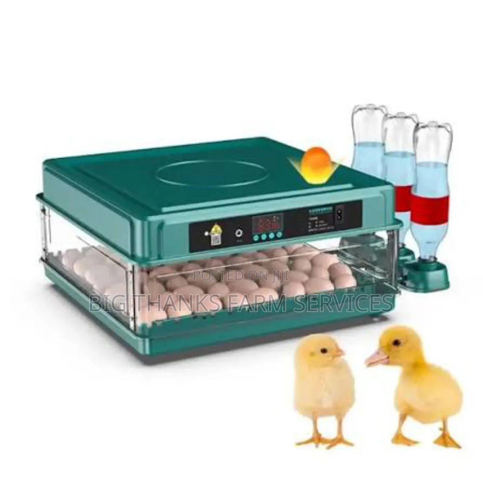 72 Egg Incubator