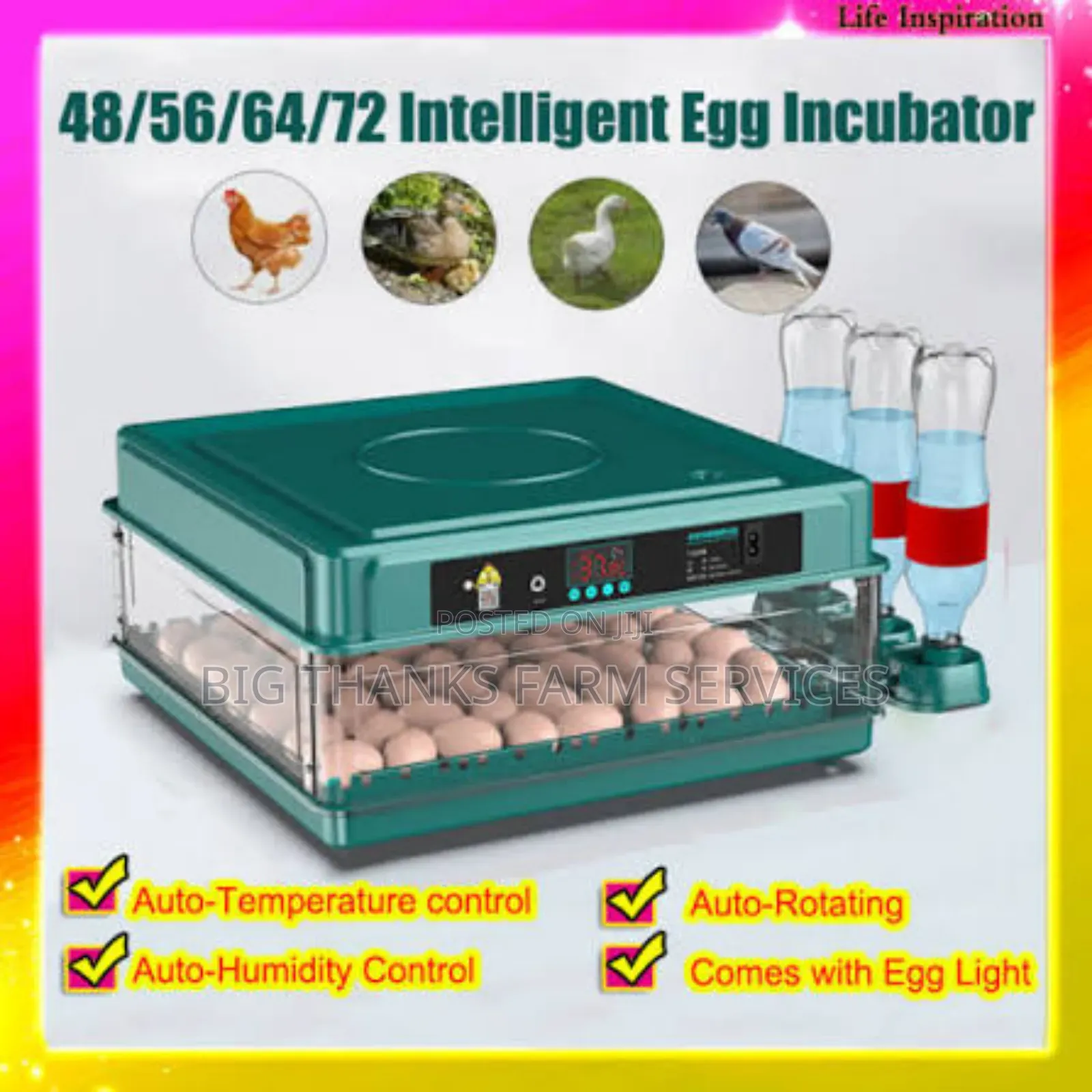 72 Egg Capacity Automatic Incubators,