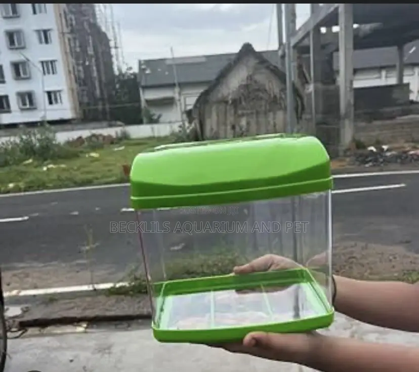 Mini Aquarium Tank