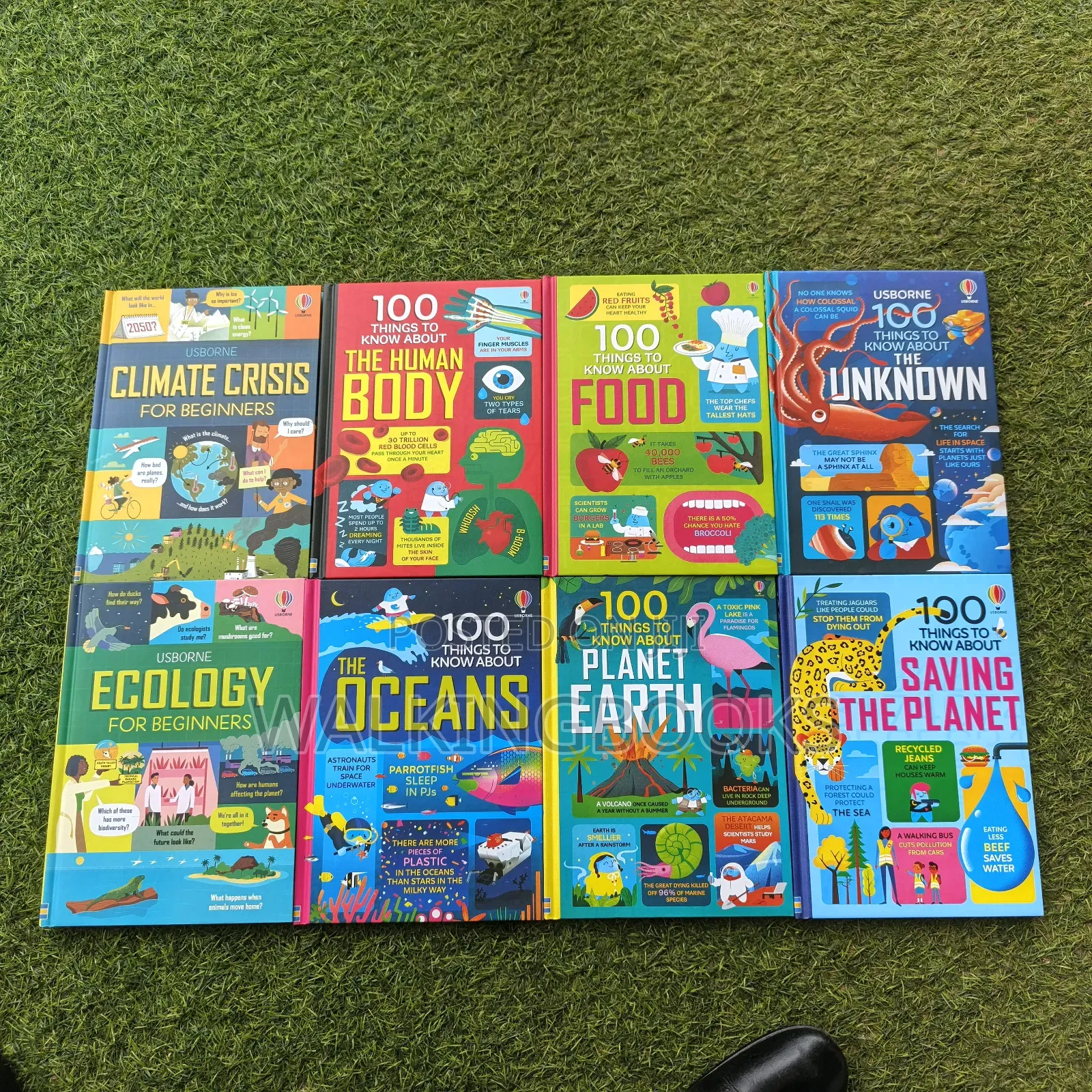 Usborne Books For Beginners. Usborne 100 Things To Know
