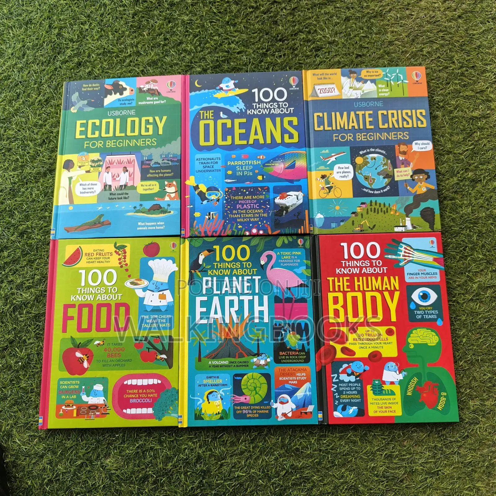 Usborne Books For Beginners. Usborne 100 Things To Know