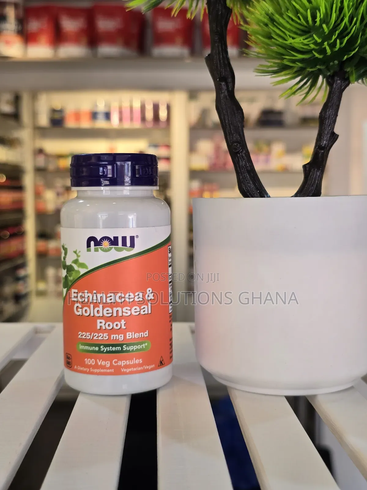 Now Echinacea Goldenseal Root