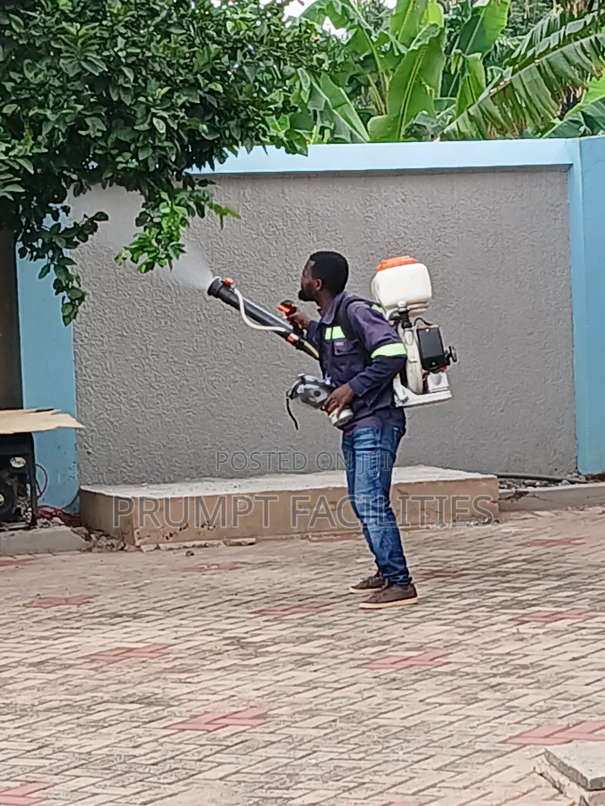 First Hand Fumigation