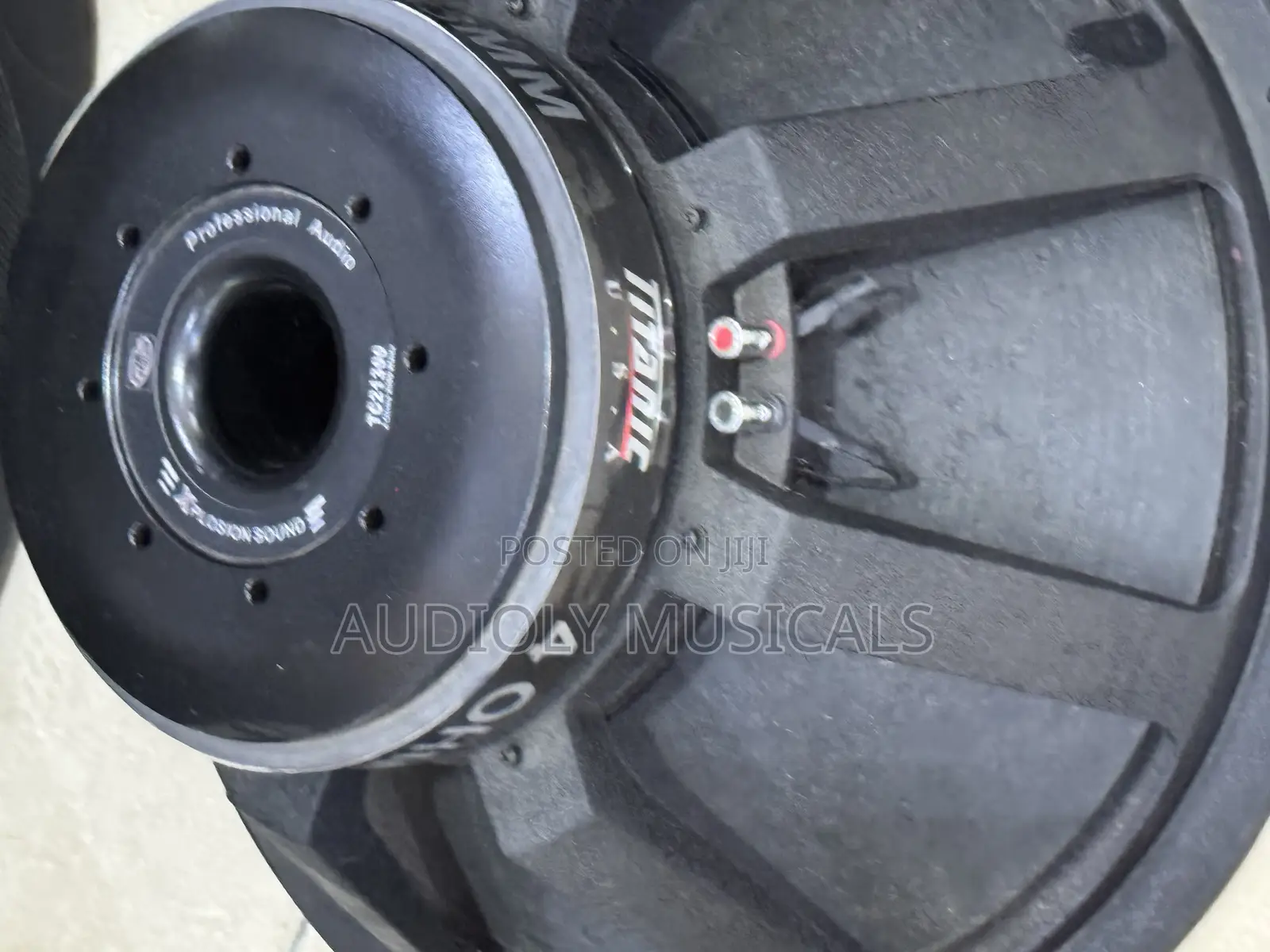Titanic 21inches Bass Speaker