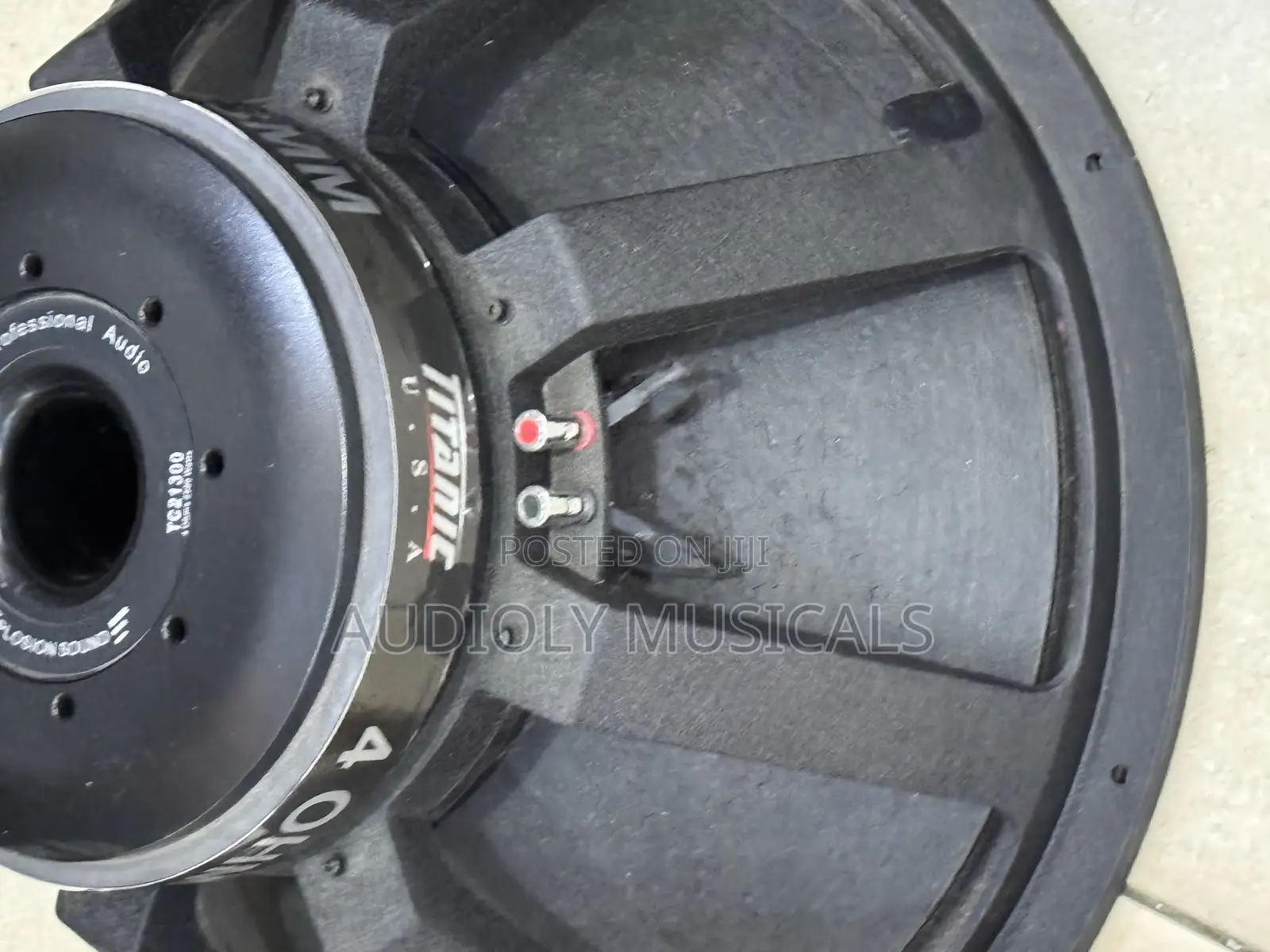 Titanic 21inches Bass Speaker