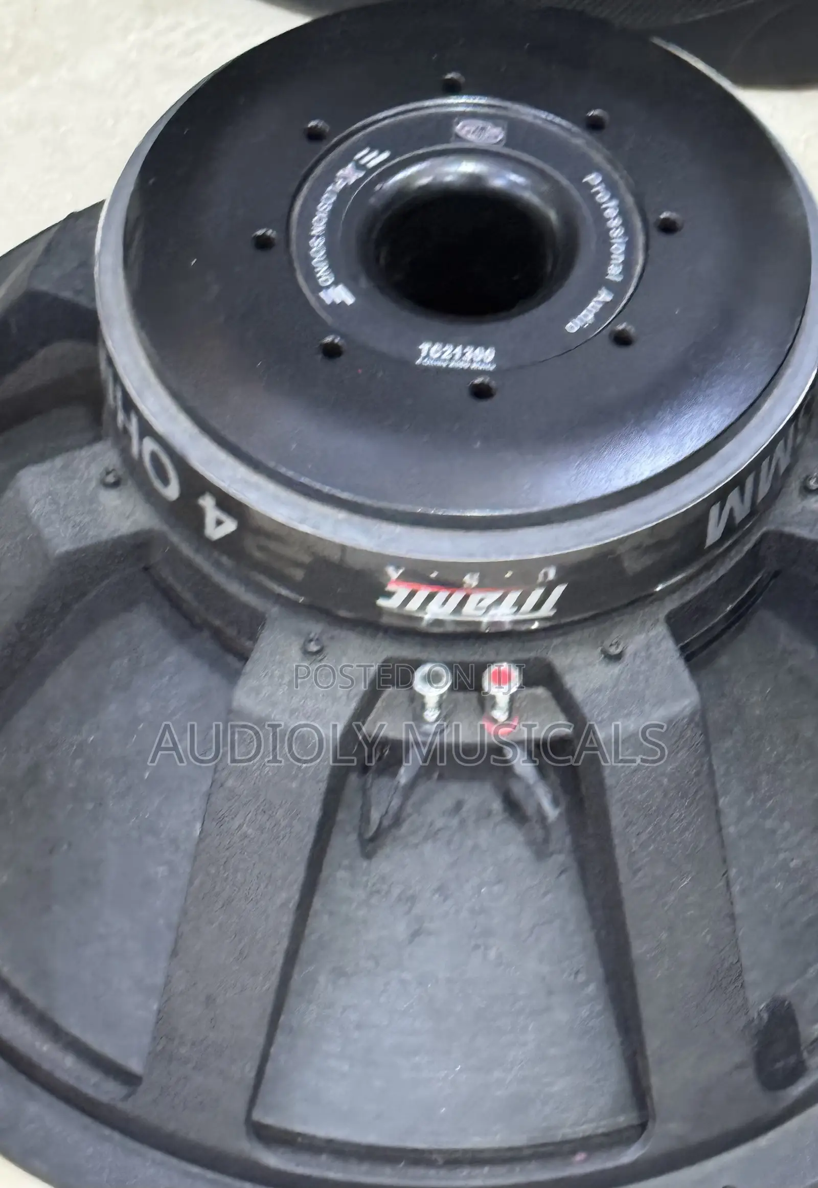 Titanic 21inches Bass Speaker