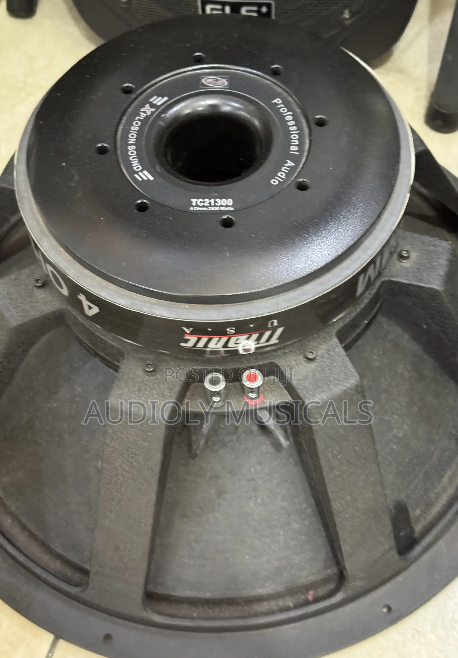 Titanic 21inches Bass Speaker