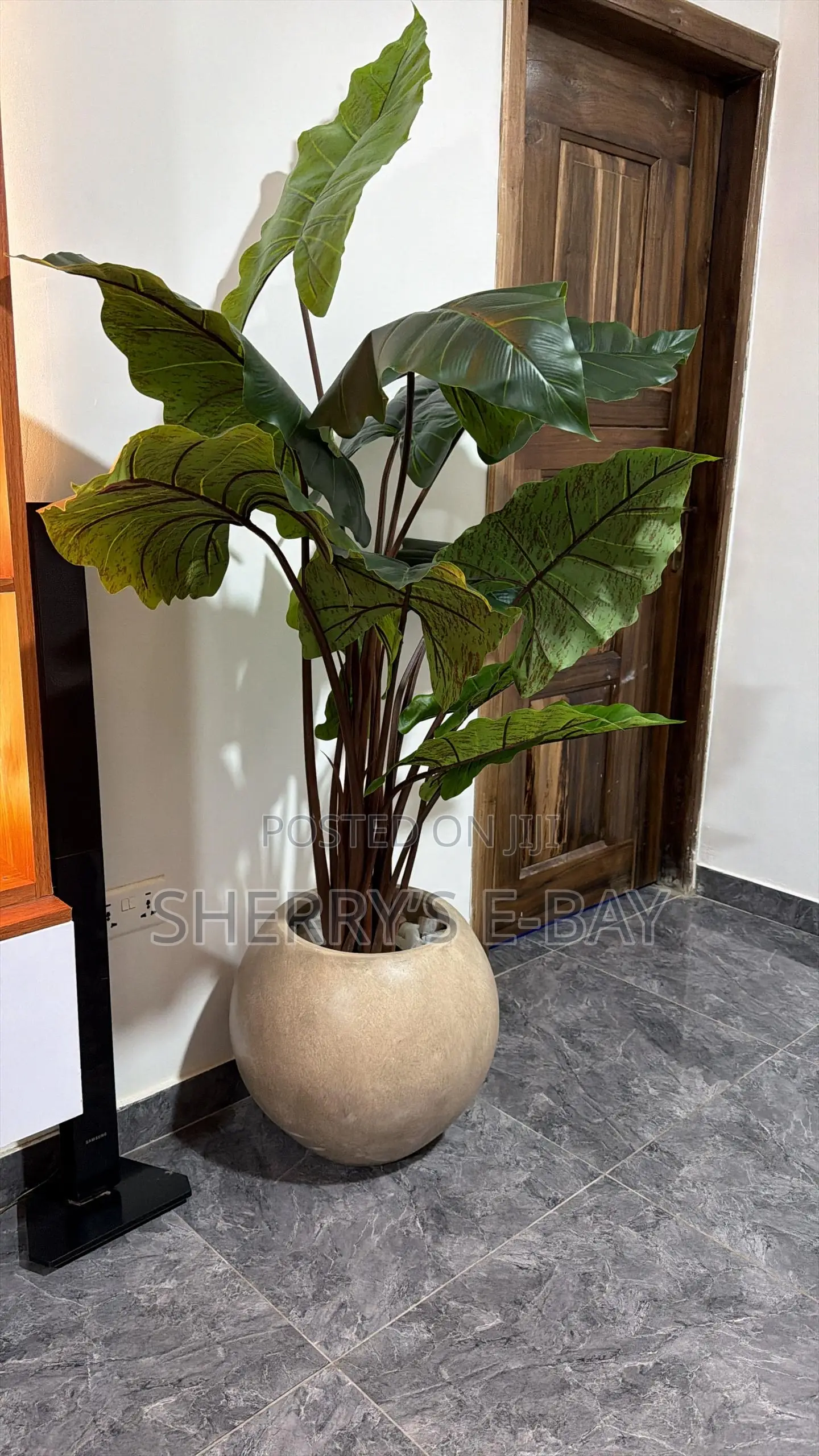 Rainbow Taro Artificial Plant