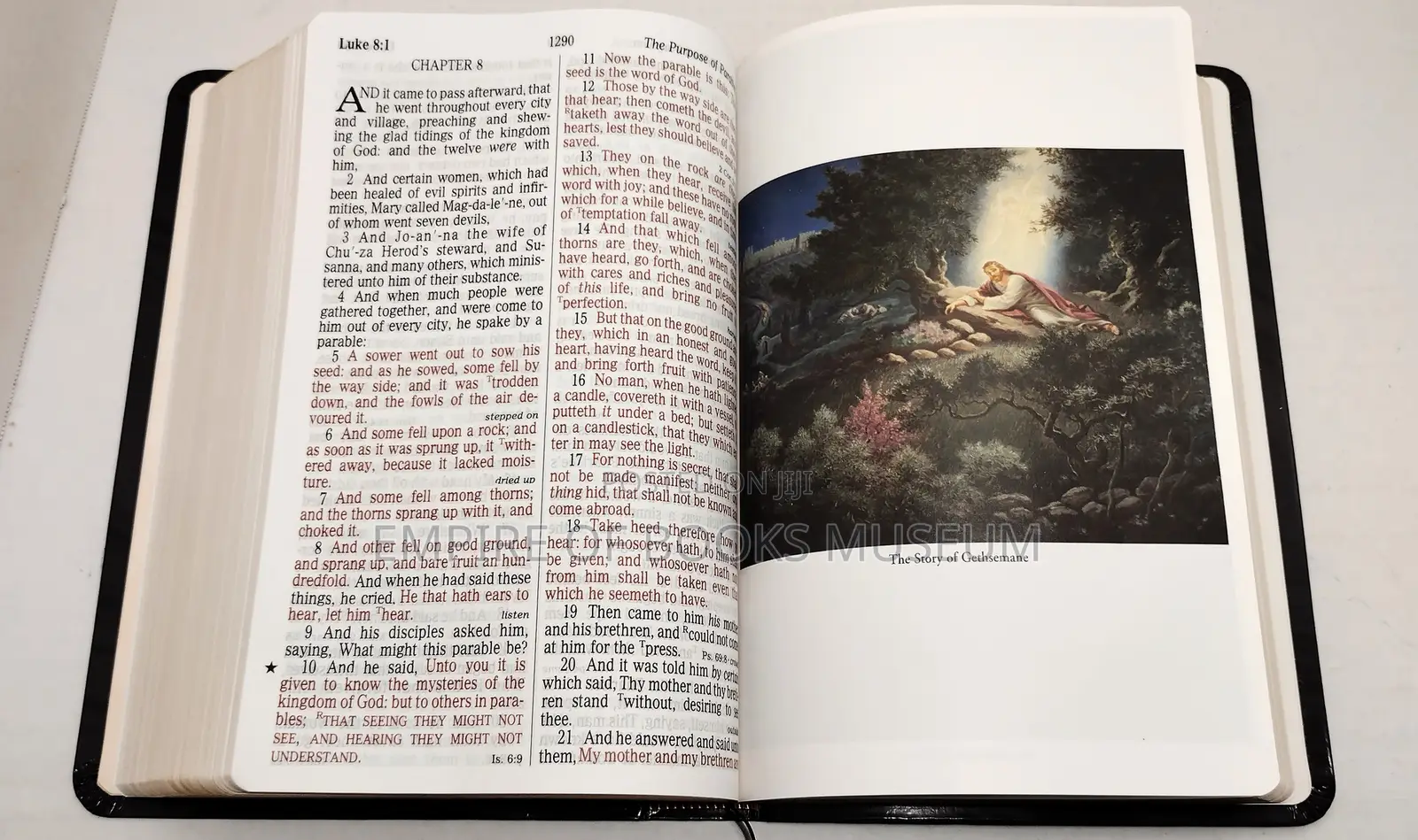 Salman Warner Art Edition Holy Bible: Giant Print Reference